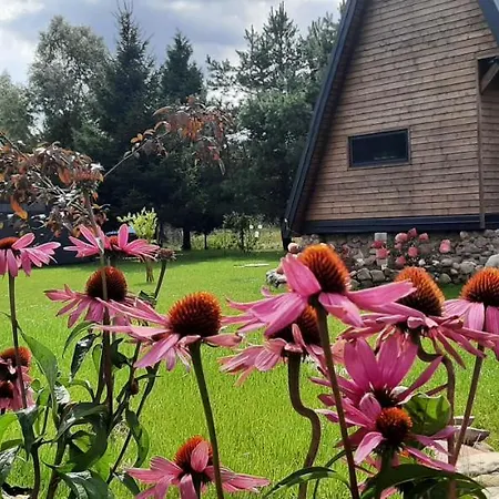 Na Zakrecie - Wiejski Bledowo (Nowy Dwor Mazowiecki)